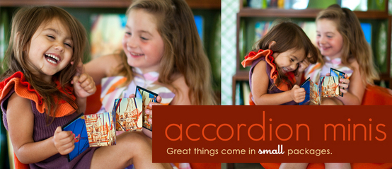 LARGE-accordion-minis 3